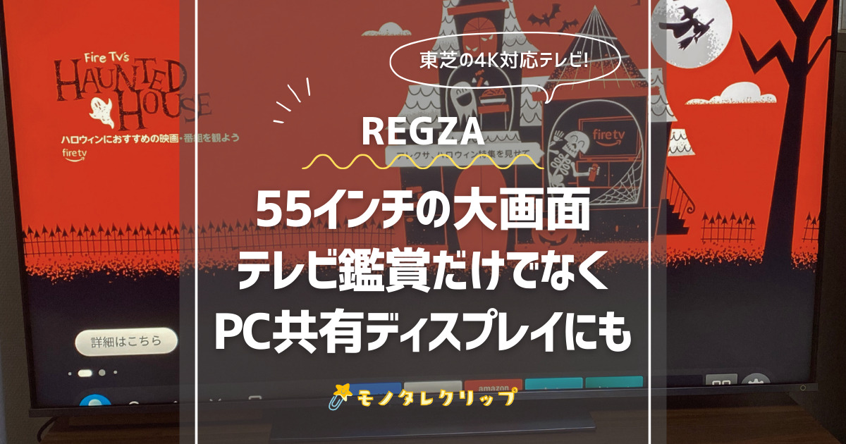 液晶テレビREGZA55V